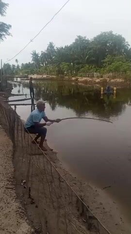 A man wearing a blue shirt and a light-colored cap fishes with a long pole in a body of water. He is sitting on the edge of a dirt path next to a fence made of netting. Another person is visible further down the path. The water appears to be a pond or canal, surrounded by trees and vegetation. The sky is overcast.