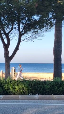 The scene is a view of a beach, likely a coastal area, framed by trees. A person is walking along the beach, and what appears to be a red cloth flutters behind them. The sea is visible in the background. A road runs along the edge of the beach, separated by a green hedge. The sky is a clear blue.