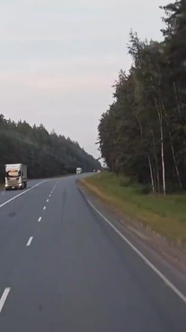 The video shows a view from a vehicle traveling on a paved road through a forest. The road curves to the left and is bordered by dense trees on both sides. Two white trucks are visible on the road ahead. The sky is overcast with some lighter patches. The trees on the right side of the road appear to be mostly pine, while the trees on the left appear to be a mix of deciduous and coniferous species. The ground alongside the road is covered in grass and some smaller plants. The lighting suggests it is either early morning or late evening.