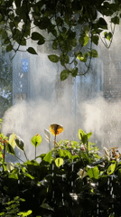 Garden watering observed in Thủy Xuân Ward, Vietnam