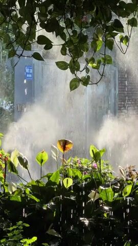 The video shows a garden scene with lush green plants and flowers in the foreground. A mist of water is sprayed in front of a gray concrete wall with the number "130" displayed on it. The leaves of a vine hang from above, framing the view. The lighting is bright, with sunlight filtering through the foliage.  The scene appears to be outdoors.