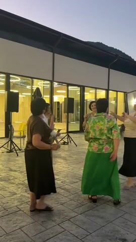 At 00:00, a group of women are seen dancing outdoors in front of a building with large windows. The sky is twilight. The ground is paved with square tiles. The building has a modern design with a white facade and a dark roof. Inside the building, lights are visible through the windows. There are two black speakers on stands in the foreground. The women are dressed in casual attire, and some are wearing colorful clothing. At 00:03, the perspective shifts to a closer view of the dancers, and the background becomes slightly blurred. The scene appears to be a social gathering or event.
