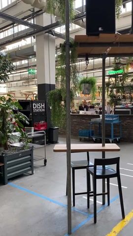 The video shows the interior of a spacious indoor market or food hall. In the foreground, there is a small seating area with a wooden table and two black chairs, supported by a metal scaffolding structure. Hanging plants are suspended from the scaffolding, adding greenery to the space. Behind the seating area, there is a long bar counter with brickwork facing. People are working and standing behind the bar. Various items, including bottles, glasses, and equipment, are visible on the bar counter. A blue metal cart stands near the bar. Above the bar, there is a neon sign and more plants. The floor is marked with blue and yellow lines, possibly for social distancing. In the background, various food stalls and shops can be seen. The overall atmosphere is casual and lively.