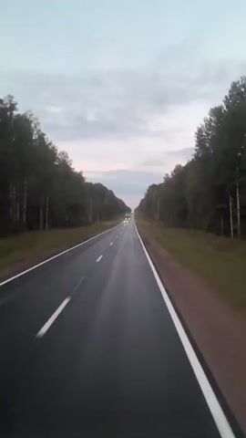 The video shows a view from a vehicle traveling on a wet asphalt road, bordered by trees on either side. The sky is overcast with hints of pink and purple, suggesting dawn or dusk. The road has white lane markings. A green semi-trailer truck is visible in the distance, approaching the viewer. As the video progresses, a red car passes the viewer, also heading in the same direction. The truck continues to approach and eventually overtakes the viewer's vehicle, its headlights illuminated. The video continues with the truck in front of the viewer's vehicle, also driving on the wet road.