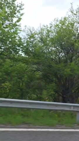 From a roadside perspective, the video shows a blurred view of the landscape. A gray guardrail runs along the roadside, with greenery, including grass and trees, on the other side. In the distance, a hill covered with trees is visible against a cloudy sky. The movement of the video suggests it was taken from a moving vehicle.