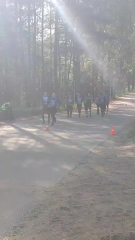 A group of people are running on a paved path through a forest. The path is lined with trees on both sides. There are orange cones placed along the path, which appear to be marking a course. The runners are wearing athletic clothing and bibs. One person in the foreground is wearing a green vest and appears to be an official or volunteer. The sun is shining through the trees, creating a bright glare in the image. The overall impression is of an outdoor sporting event.
