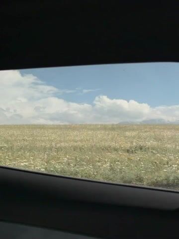 The video shows a scenic view from inside a car, looking out through the side window. The frame of the car window and part of a dark car seat or headrest are visible in the foreground.

Beyond the window, a vast, flat expanse of a field covered in wildflowers stretches to the horizon. The flowers are predominantly light-colored, appearing white or pale yellow, interspersed with green foliage. The field gives way to distant mountains, whose peaks are partially covered in snow or ice, indicating a high-altitude location.

Above the field and mountains, the sky is bright blue with scattered, fluffy white clouds. The lighting suggests it is daytime, likely a clear and sunny day. The scene conveys a sense of open space and natural beauty, characteristic of a rural or mountainous landscape. No people or visible text are present in the video.