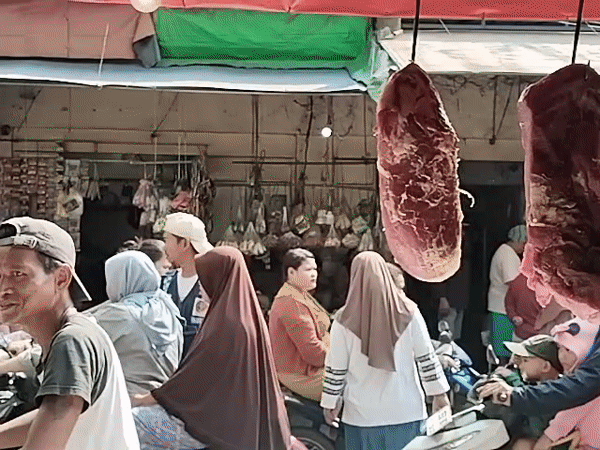 North Jakarta street market: meat stalls, angkot buses, morning activity