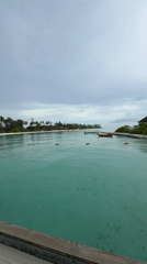 Tourist documents quiet morning scenes around Guraidhoo, Maldives