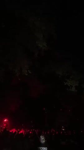 The video captures a nighttime scene with a crowd of people silhouetted against a dark background. Red lights flash periodically, illuminating the foliage above and creating a smoky haze. Some individuals in the crowd appear to be holding their phones up, possibly recording or taking pictures. The overall atmosphere suggests an outdoor event or gathering.