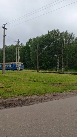 A blue and white train moves from left to right across the screen on railroad tracks. The train is traveling through a grassy area with trees in the background. There are utility poles with wires visible on the left side of the screen. The sky is overcast.