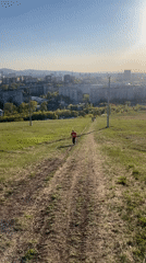 People running on hillside path in Krasnoyarsk