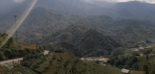 Tourist documents Sa Pa's terraced landscapes and local flora