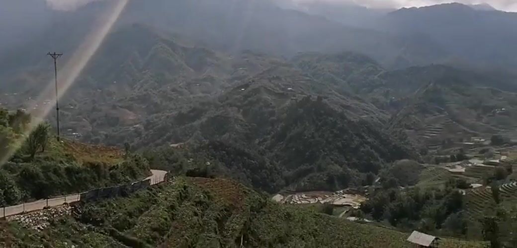 Tourist documents Sa Pa's terraced landscapes and local flora