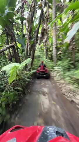 A first-person perspective video shows the dashboard of a red all-terrain vehicle (ATV) in the foreground, featuring a digital display and handlebars. Ahead, a second red ATV is visible, being driven by a person wearing a red helmet and dark clothing. Both ATVs are traversing a narrow, muddy dirt path. The path is enclosed by dense green jungle foliage on both sides, including tall trees and various plants. The camera ATV is following the leading ATV through the lush, off-road environment.