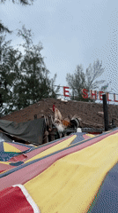 Beach scene features chickens, umbrellas, and currency exchange signage