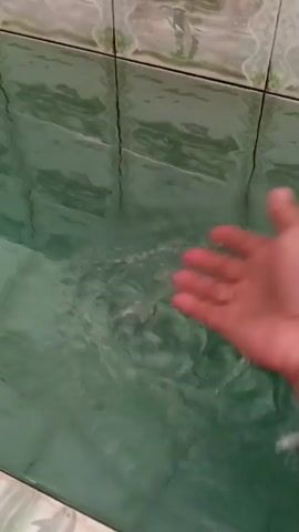 The video shows a hand interacting with murky green water contained within a tiled enclosure. The tiles appear to be a light green or white color with a patterned design, and they line the walls of the enclosure. The water itself is opaque and a deep green hue, with visible ripples and small bubbles on the surface. The hand enters the water, creating further disturbance and ripples. In one instance, a small amount of white material is visible on the palm of the hand. The overall impression is of a simple, perhaps utilitarian, water-filled space.