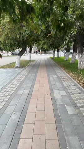 The video shows a sidewalk made of paving stones. Trees with green leaves line the sidewalk on both sides. The trees have white trunks. There is grass on either side of the sidewalk. In the background, there are buildings and cars. A person is walking on the sidewalk in the distance. The weather appears to be overcast.