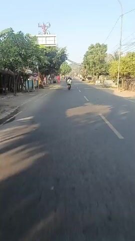 A first-person perspective video shows a road with trees and buildings on either side. A person is riding a scooter down the road. The sun is shining and the sky is clear.