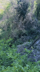 Waterfall documented from multiple angles in Razhdavitsa, Bulgaria
