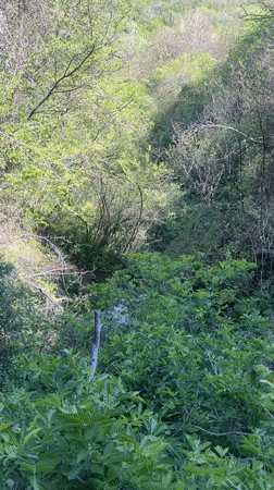 Waterfall documented from multiple angles in Razhdavitsa, Bulgaria