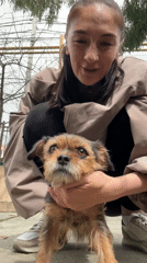 Baby in stroller enjoys outdoor moment with dog in Sochi