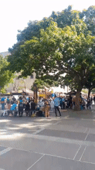 Community festival with chess, vendors draws crowds in Caracas
