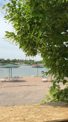 The video shows a beach with a view of a lake, taken from behind some trees. There is a sandy beach area with white lounge chairs and a few green and yellow umbrellas. The lake is calm and there are trees in the distance on the opposite shore. The video is framed by a tree with green leaves in the foreground. The camera is stationary.
