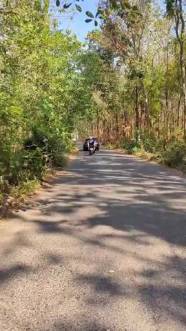 The video displays a paved road winding through a dense forest. Sunlight filters through the trees, casting shadows on the road. A person on a motorcycle is traveling away from the camera on the road. In the distance, another motorcycle can be seen. The trees lining the road are lush and green, with some appearing to be more autumnal in color. The overall impression is one of a peaceful, scenic drive through a natural environment.