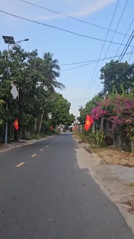 The video shows a view of a road lined with trees and Vietnamese flags. The road is paved and has yellow lane markings. On either side of the road, there are trees and vegetation, including a palm tree on the left and a bush with pink flowers on the right. Red Vietnamese flags are placed along the roadside at regular intervals. Overhead, power lines stretch across the sky, which is a light blue with some clouds. The camera appears to be moving forward along the road.