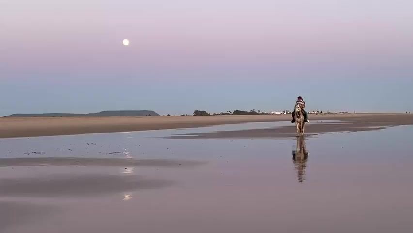 A lone person on horseback rides along a sandy beach at twilight. The sky is a gradient of pale pink and blue, with a full moon visible in the upper left corner. The beach is wet and reflective, mirroring the sky and the horse and rider. In the distance, a low-lying landmass with a few buildings is visible along the horizon. The horse is light-colored, and the rider is wearing a checkered shirt. The horse is walking slowly, leaving faint tracks in the wet sand. The overall mood is peaceful and serene.