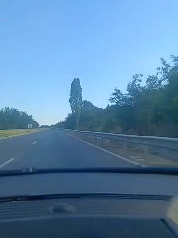 A view from inside a car driving on a highway under a clear blue sky. The road ahead is clear with trees and foliage lining the right side of the highway. A metal guardrail is visible along the edge of the road. A tall, slender tree stands out amongst the other foliage. The dashboard of the car is visible in the foreground.