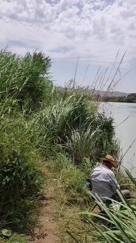 A person wearing a light-colored shirt and a straw hat sits on a collapsible chair by a river, fishing. They are surrounded by tall, green reeds and grass. The river is wide and appears to be flowing. In the background, there are trees and hills under a cloudy sky. The camera pans slightly to the right, showing more of the river and the vegetation.