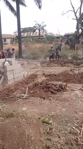 People are working on a construction site. Some people are digging in the ground, while others are moving bricks. There are trees and buildings in the background. The ground is dirt and there is some debris.