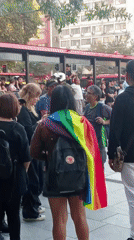 Police monitor crowd gathering in Santiago plaza amid protest concerns