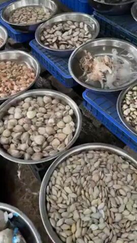 The scene shows a variety of seafood in stainless steel bowls, likely at a market or seafood stall. The bowls are filled with different types of shellfish and other marine creatures, submerged in water. Blue plastic crates are visible beneath some of the bowls, possibly for support or organization. The seafood appears fresh, with some items exhibiting movement in the water.
