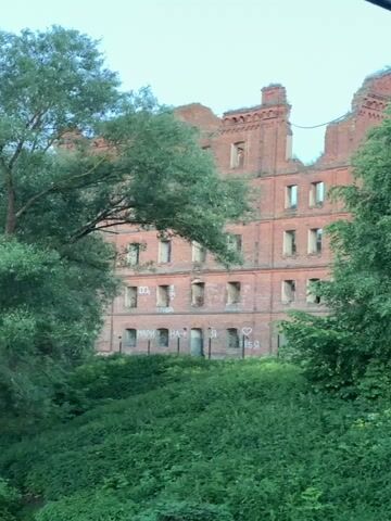 The video shows a view of a dilapidated brick building with overgrown vegetation in the foreground and surrounding it. The building appears to be abandoned, with broken windows and exposed brickwork. The vegetation is lush and green, indicating a natural environment. The water in the river is flowing with some turbulence, suggesting movement and possibly a current. Several wooden posts are visible in the river, possibly remnants of a former structure or pier. The lighting suggests it is either early morning or late evening.