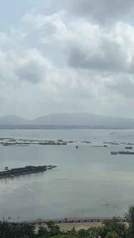 The video displays a wide view of a calm body of water under a cloudy sky. The water is dotted with numerous floating structures, possibly aquaculture cages or small rafts, and a few small boats are visible. In the foreground, a lush green treeline runs along the bottom of the frame. A curved wooden pier extends from the right side of the frame towards the water, with another straight pier visible on the left. Distant hills or mountains are visible on the horizon, and a hazy cityscape can be seen further in the distance. The overall scene suggests a coastal or lakeside environment with signs of human activity related to fishing or aquaculture.