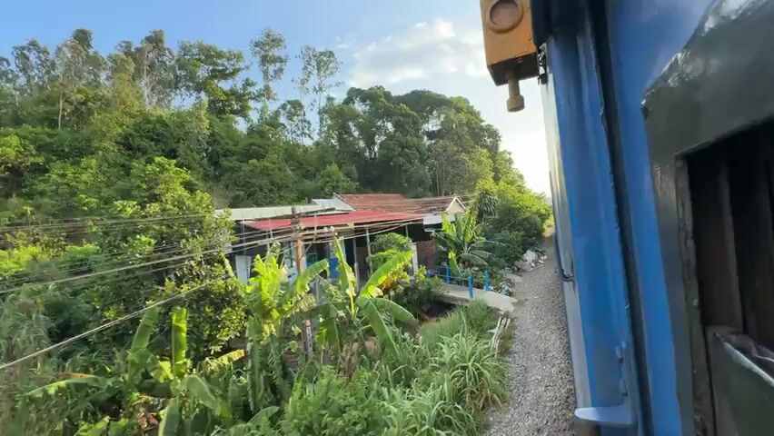 The video shows a view from a moving train. On the left, there are houses with red roofs and blue doors, surrounded by lush green trees and vegetation. A motorbike is parked in front of one house. The train track is on the right, with a blue train car visible. The scenery outside the train is blurred due to the motion, depicting a rural environment with trees, power lines, and some debris along the track.