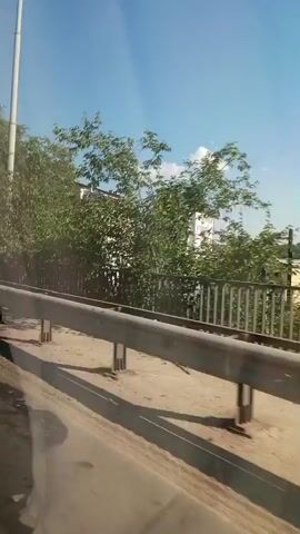 The video captures a drive along a highway, looking out from the passenger side of a vehicle. The camera pans across a scene of lush green trees on one side, a metal guardrail, and a road surface with dappled sunlight casting shadows. In the background, a few buildings are visible, including a multi-story apartment building with a distinctive roofline. The sky is a clear blue with a few fluffy white clouds, suggesting a pleasant day. The overall impression is of a scenic drive through a town or its outskirts, possibly in a suburban or rural setting, given the presence of trees and the rolling hills in the distance. There is no visible text in the video. The time of day appears to be daytime, likely late morning or early afternoon, given the bright sunlight and clear sky. The mood is calm and observational, typical of a travel or commute recording.