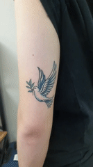 Fresh tattoo session documented in Ulyanovsk showing dove, wasp designs