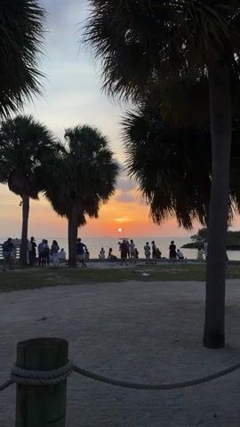 The video shows a group of people gathered on a beach watching the sunset over the ocean. Palm trees frame the scene, with their silhouettes dark against the orange and yellow sky. The sun is a bright, round orb near the horizon, with a sailboat visible in the distance. The people are standing and sitting, some facing the water, others talking amongst themselves. The ground in the foreground is sandy with some grass and a wooden post with rope. The overall atmosphere is peaceful and serene, with a hint of celebration as people witness the natural spectacle.