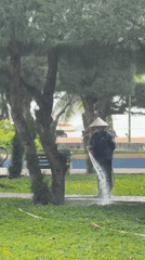 Quiet morning in a Nha Trang beachside park