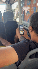 Casual moments captured in Tel-Aviv: bus passenger, indoor dog