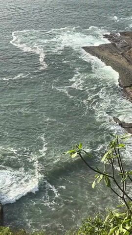 This is a vertical, high-angle shot overlooking a choppy, greenish-grey ocean meeting a rocky shoreline. Waves crash against the dark, layered rocks, creating white foam that spreads across the water. In the foreground, the branches of a green plant with broad leaves extend into the frame from the bottom right, obscuring some of the view. The sky appears overcast, casting a diffused light on the scene. The video appears to be a continuous shot with no discernible action or interaction occurring within the frame beyond the natural movement of the waves.