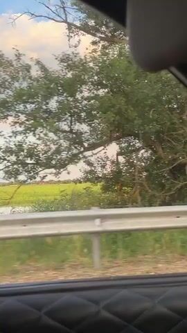 The video is a first-person perspective from inside a vehicle, looking out the side window. The scenery outside consists of trees and a field, with a cloudy sky. There is a guardrail visible in the foreground. The camera is in motion, suggesting the vehicle is driving. The light suggests it is either early morning or late afternoon. There is a faint rainbow visible in the distance in the sky. The interior of the car shows a black quilted armrest and a portion of the sun visor.