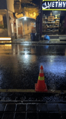 Ubud resident captures wet streets and indoor reptiles