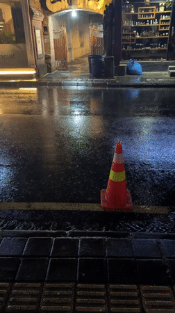 Ubud resident captures wet streets and indoor reptiles