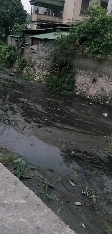 The video shows a wide, heavily polluted riverbed or canal in an urban setting. The foreground features a concrete ledge, suggesting the vantage point is from a bridge or embankment. The riverbed is mostly dry, revealing dark, cracked mud interspersed with stagnant pools of murky, blackish water. Numerous pieces of trash, including plastic bags and bottles, are scattered across the mud and floating in the water.

Along the banks, green vegetation, including small plants, weeds, and larger trees, grows profusely. The banks are reinforced with stone and concrete walls, upon which several buildings are visible, appearing to be residential houses or apartment blocks. Power lines and utility poles run along the road parallel to the canal on the left side of the frame. In the distance, rolling hills or mountains are visible under an overcast sky, suggesting a cloudy day. The camera slowly pans from right to left, revealing more of the polluted waterway and its surroundings. No people or specific activities are observed. The scene conveys a strong impression of environmental degradation in an inhabited area.