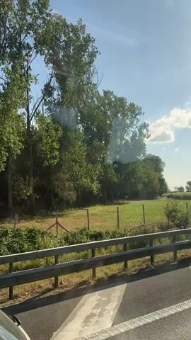 The video shows a view from a car, likely a white hatchback. The car is on a road, and to the right is a guardrail. Beyond the guardrail is a grassy field with trees. The sun is shining, and there are some clouds in the sky. The trees are lush and green, and the field appears to be in a rural area. The video is taken during the daytime.